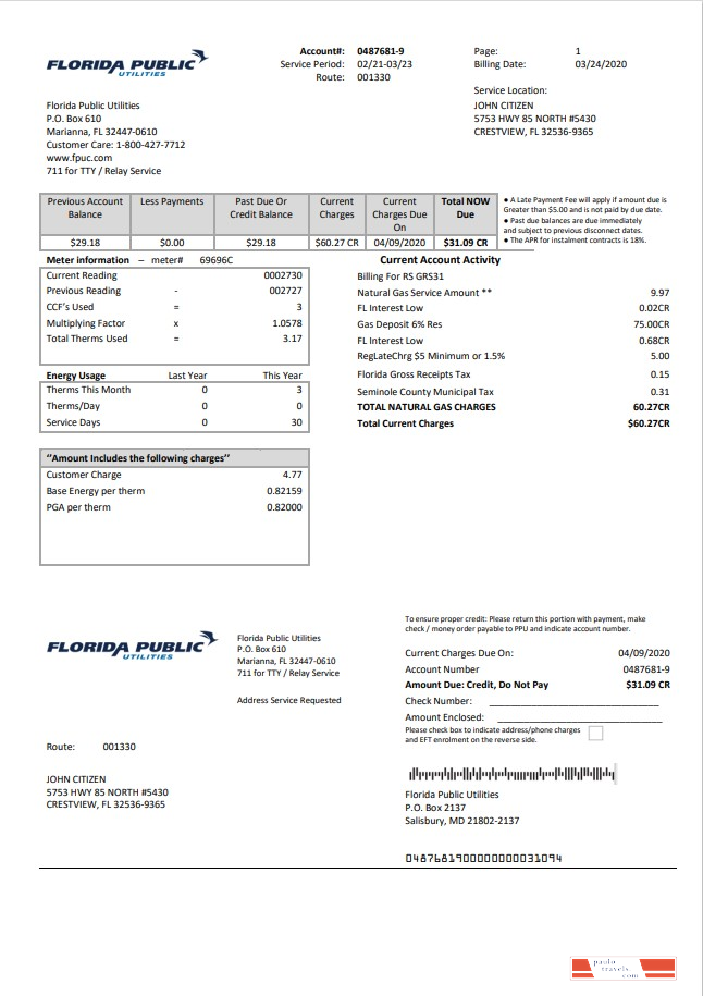 USA Florida Public Utilities utility bill template in Word and PDF format
